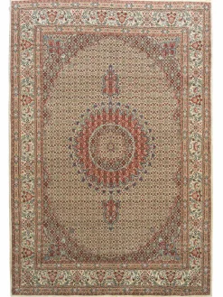 Moud Mahi|Kibek Clearance