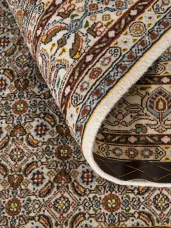 Moud Mahi|Kibek Sale