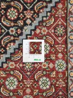 Moud Mahi|Kibek Outlet