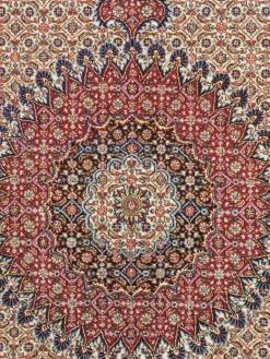 Moud Mahi|Kibek Online