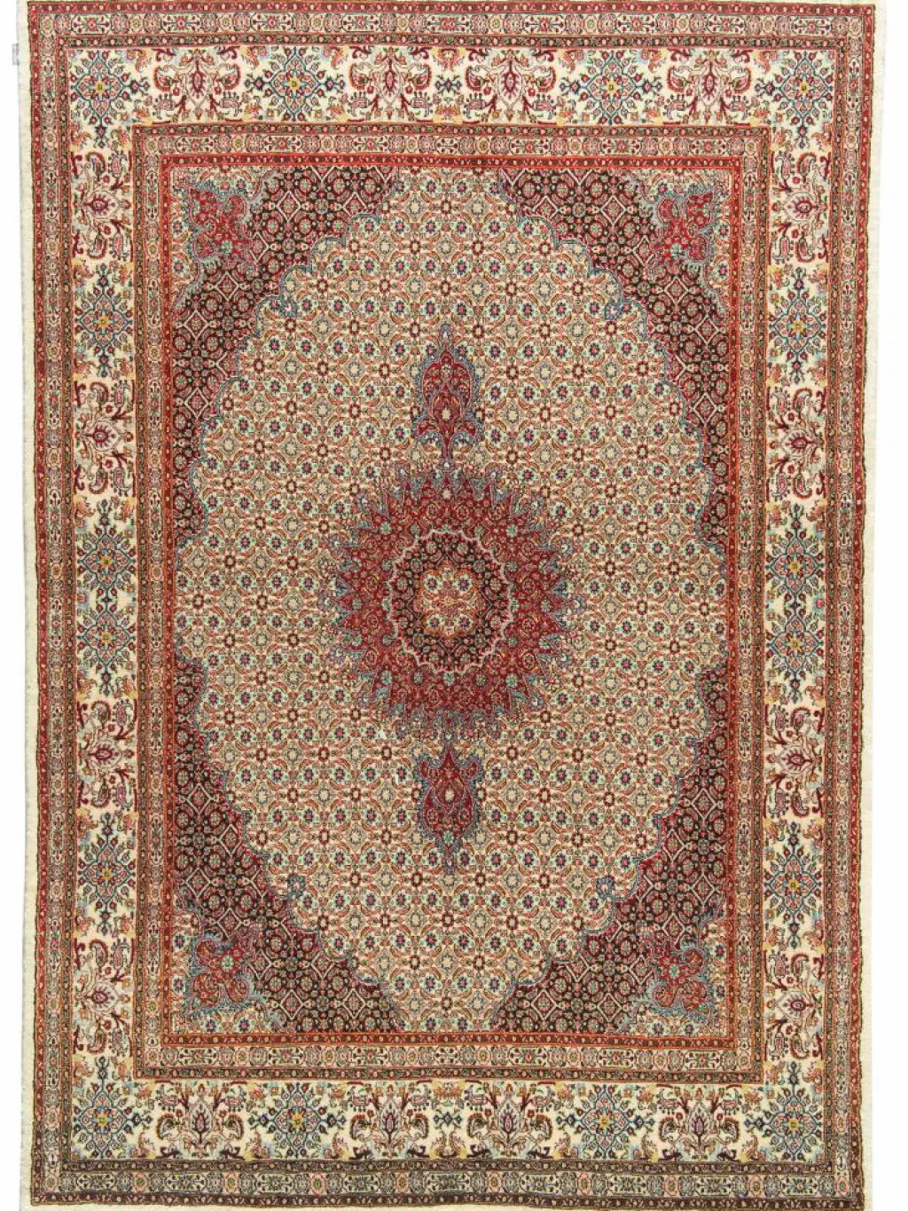 Moud Mahi|Kibek Clearance