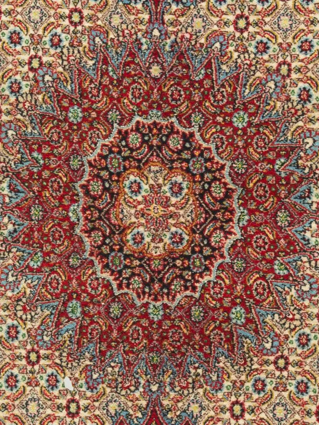 Moud Mahi|Kibek Clearance