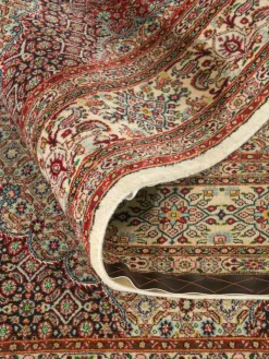 Moud Mahi|Kibek Clearance