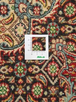 Moud Mahi|Kibek Clearance