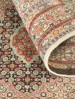 Moud Mahi|Kibek Online