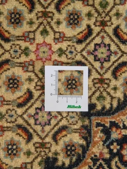 Moud Mahi|Kibek Discount