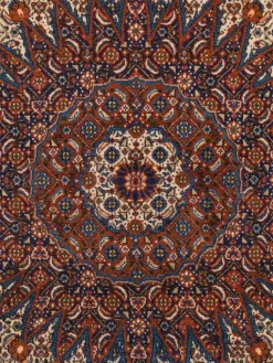 Moud Mahi|Kibek Sale