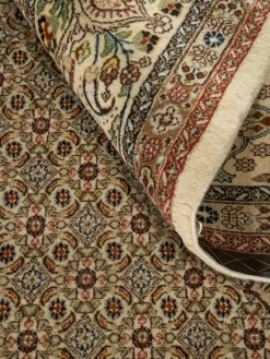 Moud Mahi|Kibek Discount