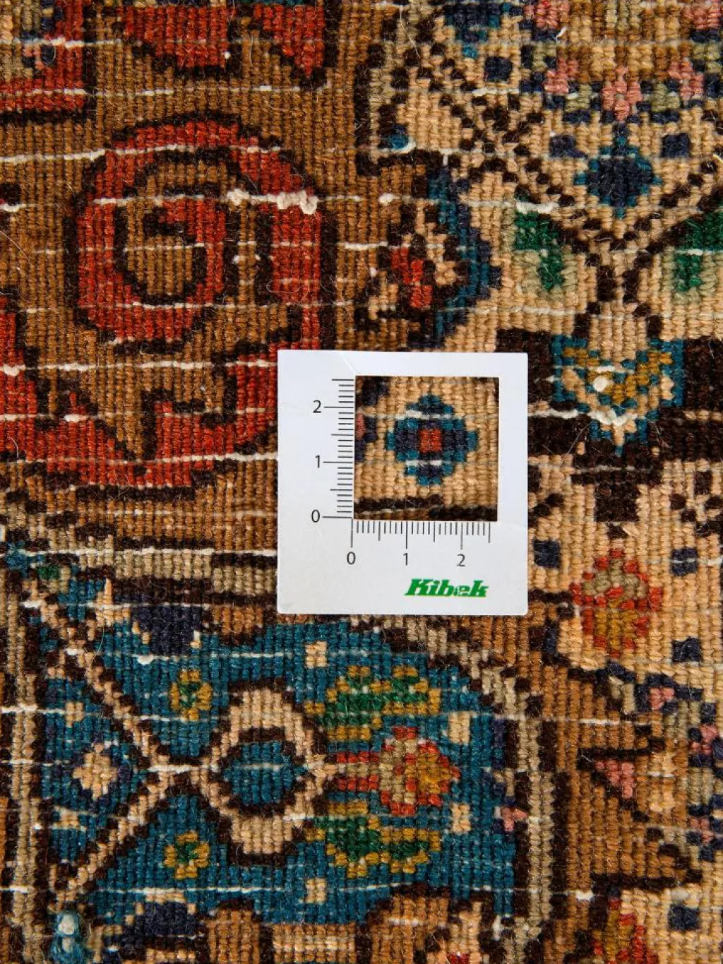 Moud Mahi|Kibek Sale