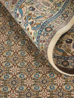 Moud Mahi|Kibek Sale