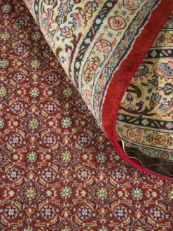 Moud Mahi|Kibek Best