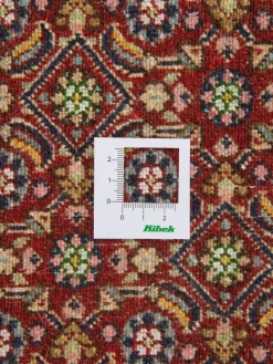 Moud Mahi|Kibek Best