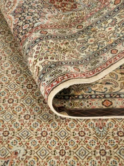 Moud Mahi|Kibek Sale