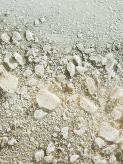 Möwen am Strand|Kibek Outlet