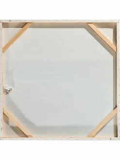 Möwen am Strand|Kibek Outlet