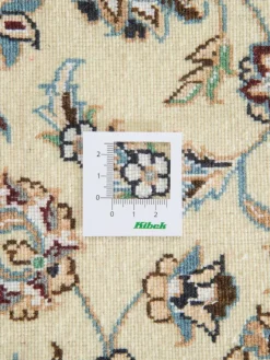 Nain 9 Lah|Kibek Best