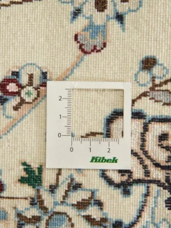 Nain 6 Lah Habibian|Kibek Hot