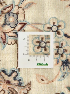 Nain 6 Lah Habibian|Kibek Online