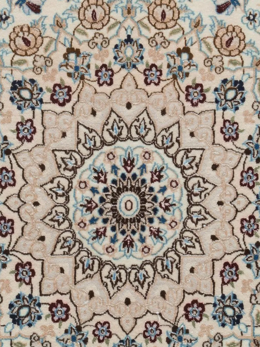 Nain 6 Lah Habibian|Kibek Outlet