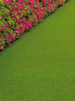 Naturale Green|Kibek Best