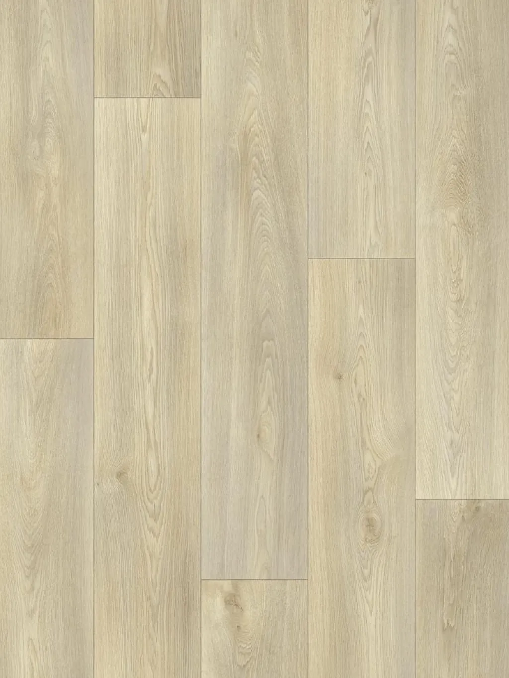 Nature Royal|Kibek Online