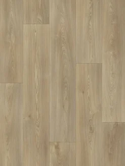 Nature Royal|Kibek New