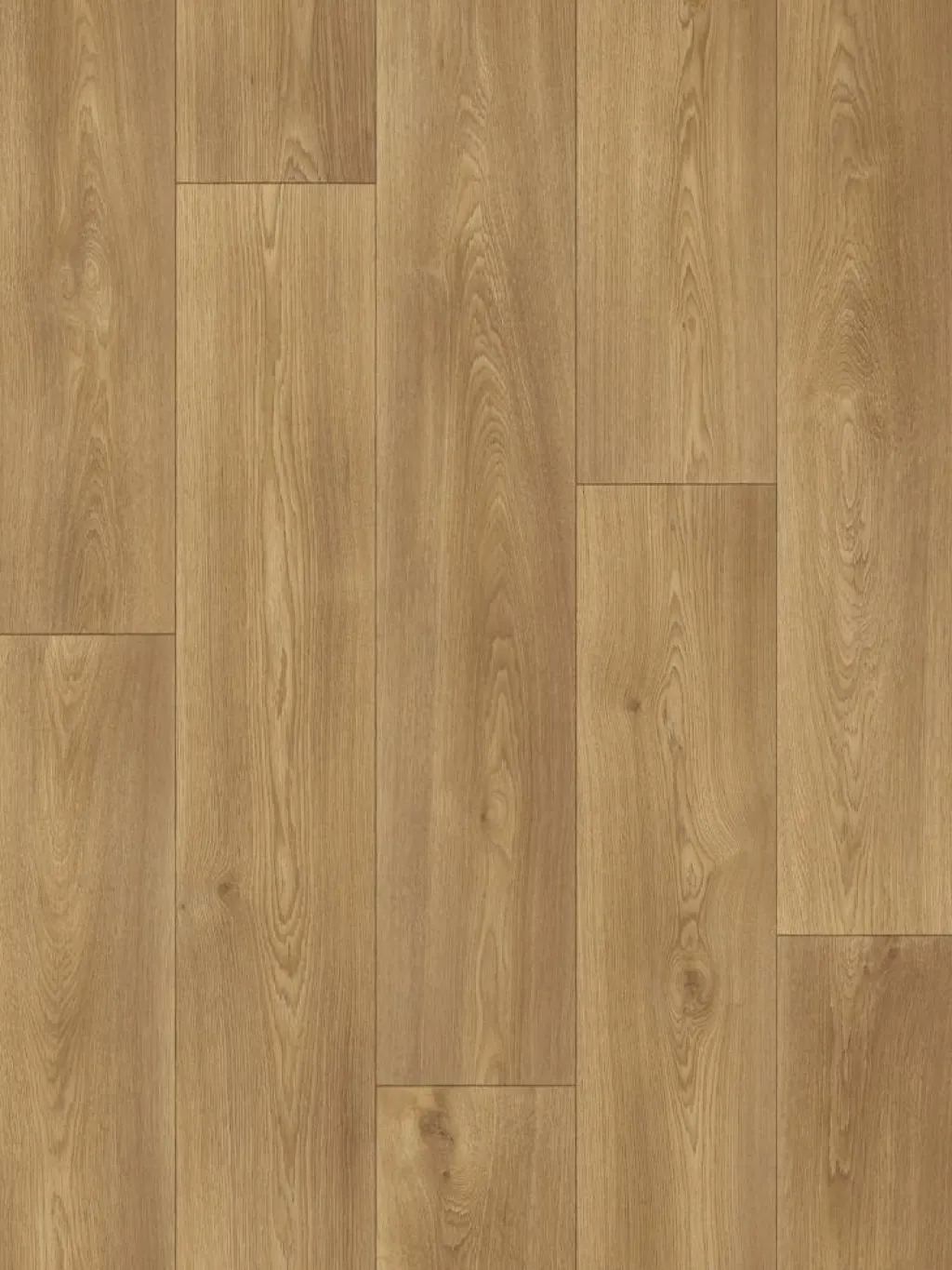 Nature Royal|Kibek Discount