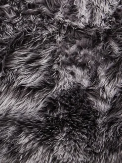 New Zealand Star|Kibek Sale