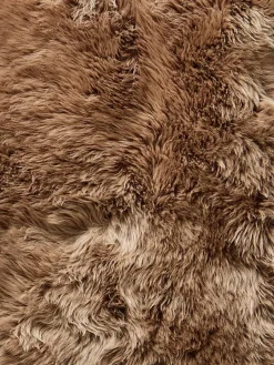 New Zealand Star|Kibek Best