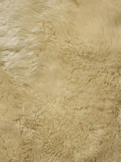 New Zealand Star|Kibek Online