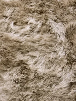 New Zealand Star|Kibek