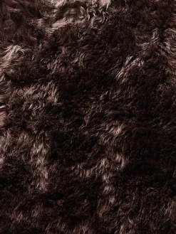 New Zealand Star|Kibek Sale