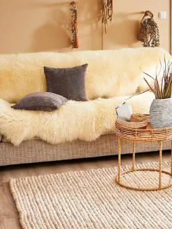 New Zealand Star|Kibek Best