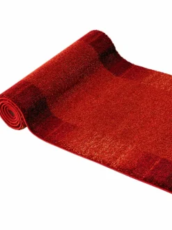 Night Life|Kibek Discount