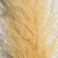 Pampasgrasbündel 3er|Kibek New