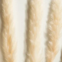 Pampasgrasbündel 6er|Kibek Discount