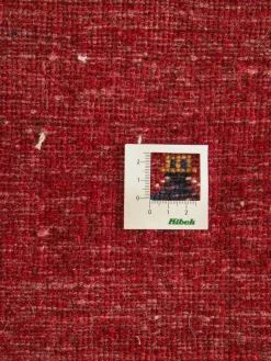 Persischer Loribaff|Kibek Online