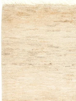 Persischer Loribaff|Kibek New