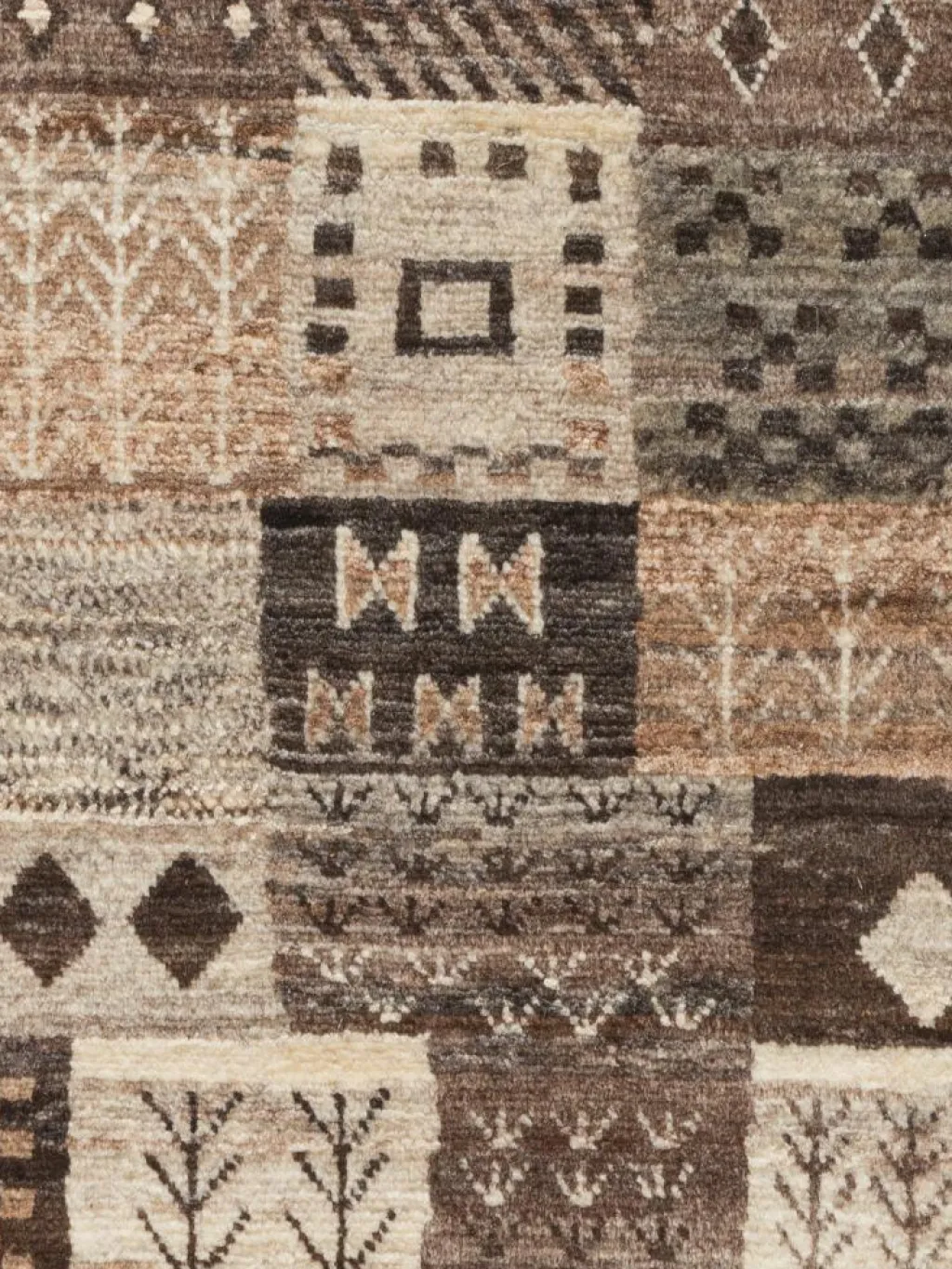 Persischer Loribaff|Kibek Discount