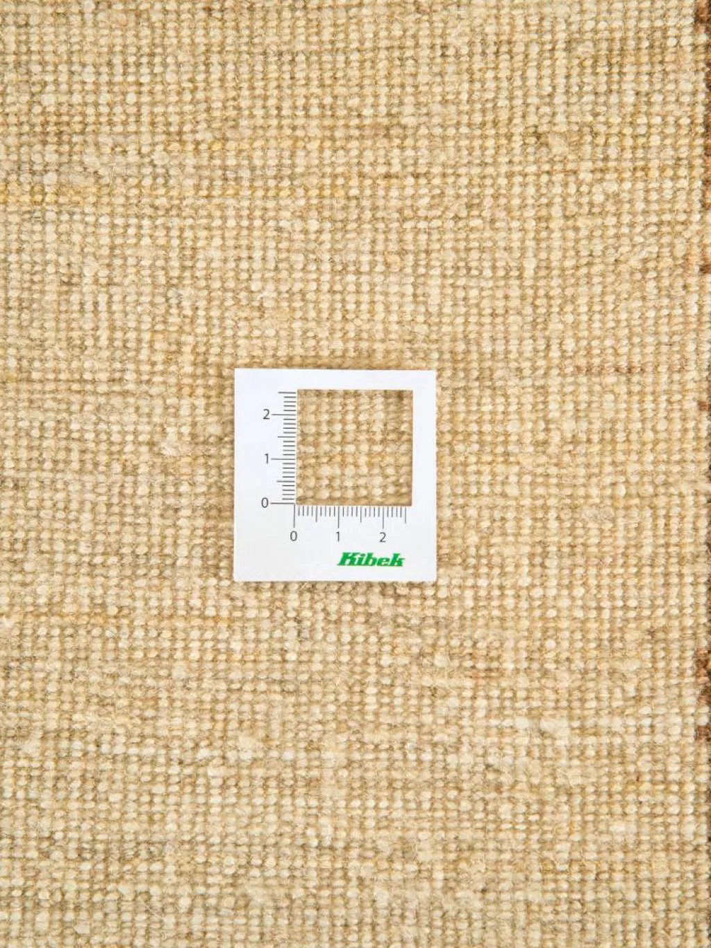 Persischer Loribaff|Kibek Discount