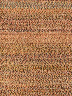 Persischer Loribaff|Kibek Clearance