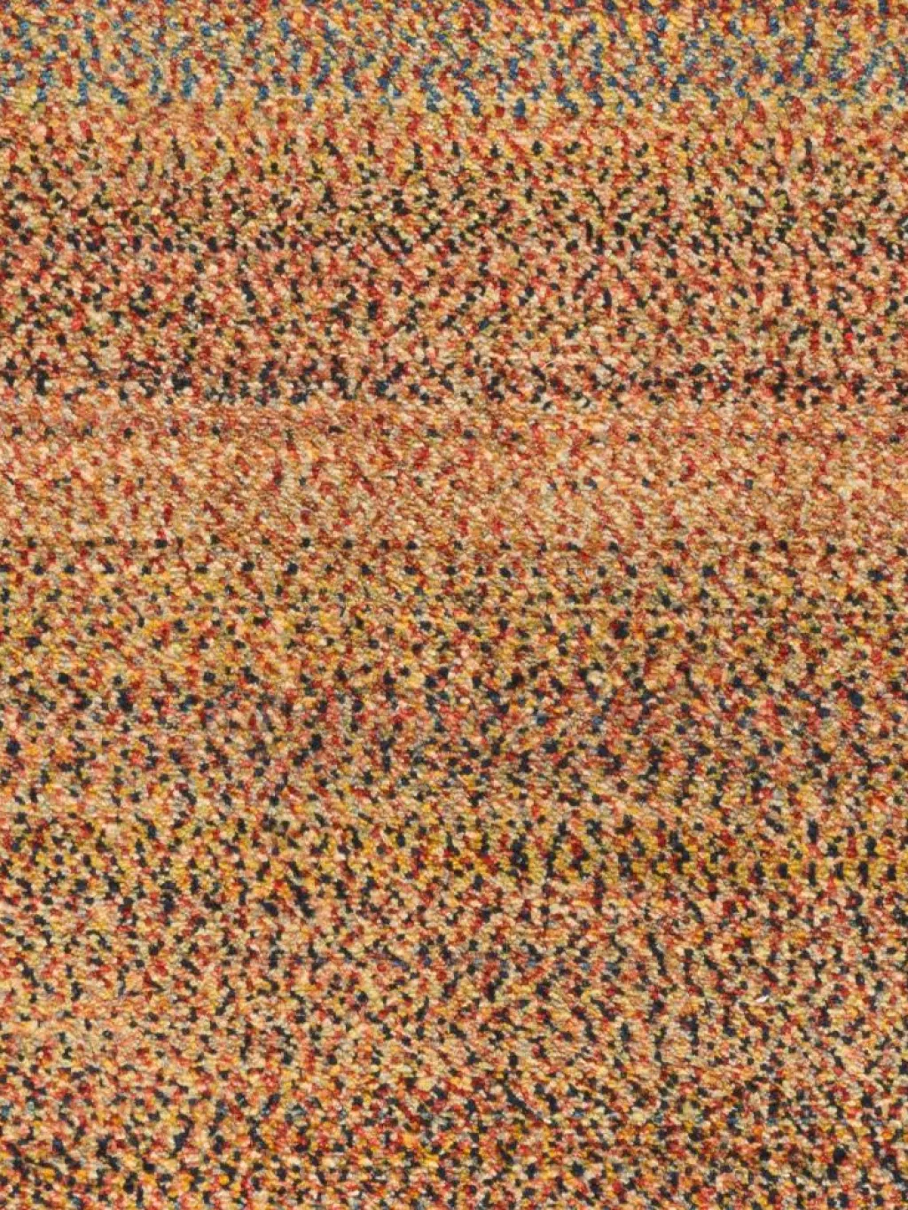 Persischer Loribaff|Kibek Clearance