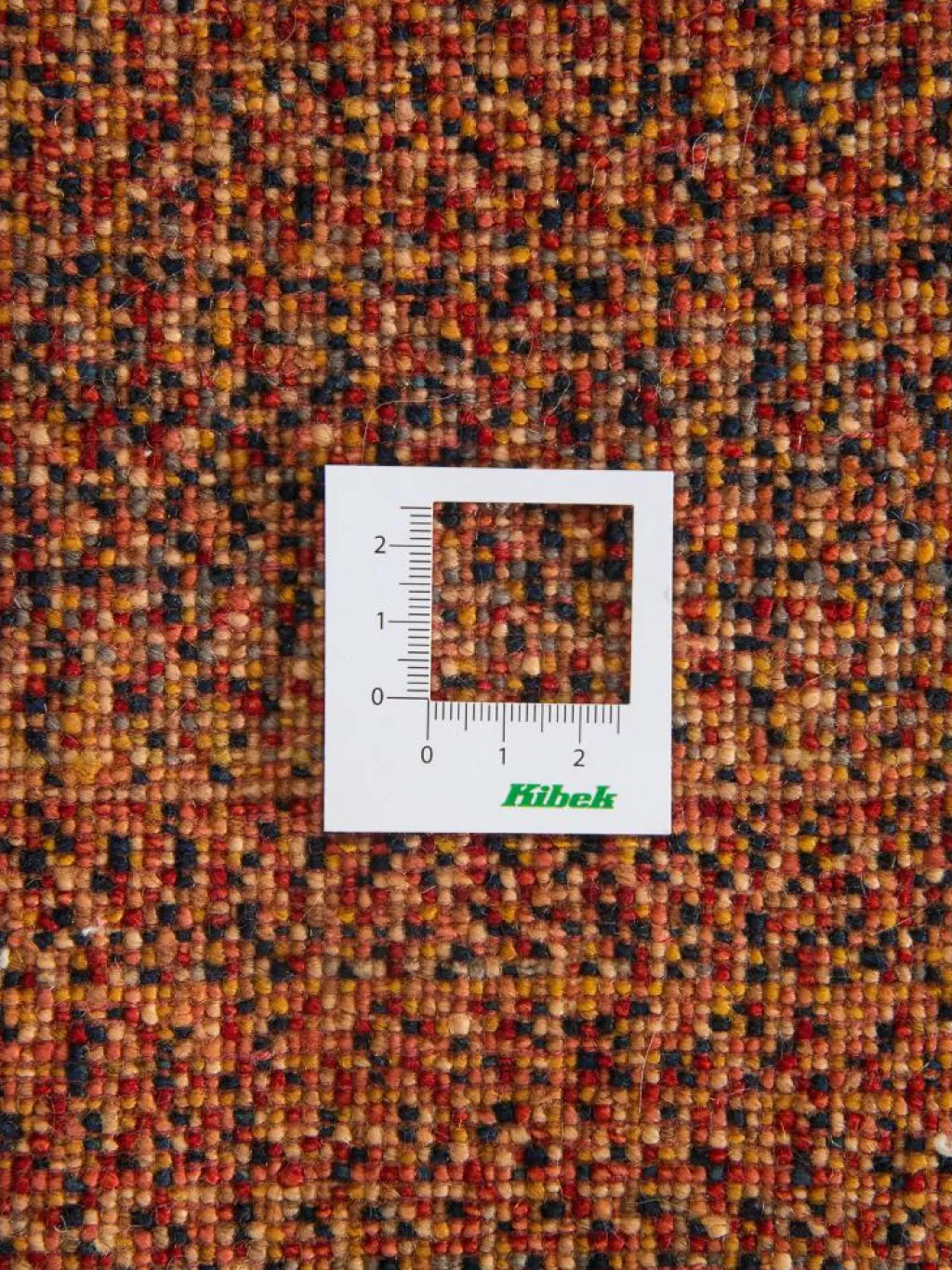 Persischer Loribaff|Kibek Clearance