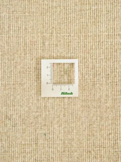 Persischer Loribaff|Kibek New