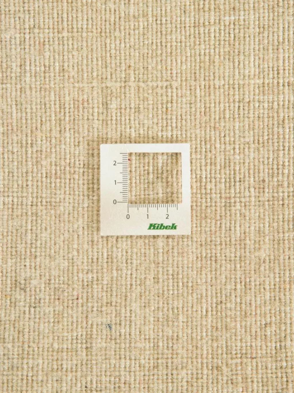 Persischer Loribaff|Kibek New