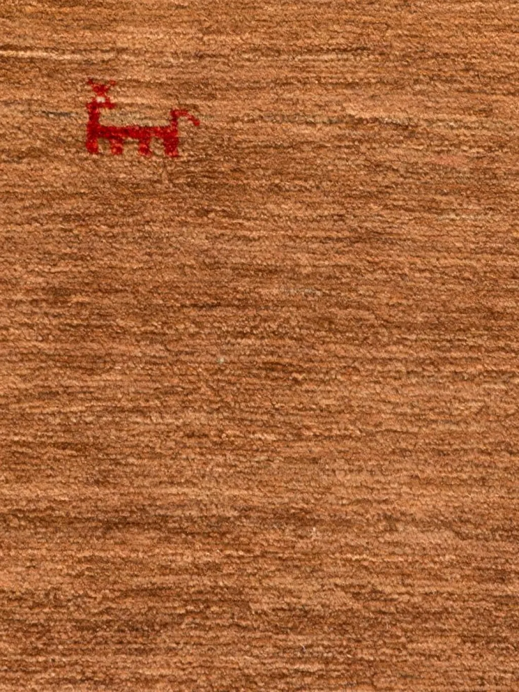 Persischer Loribaff|Kibek Hot