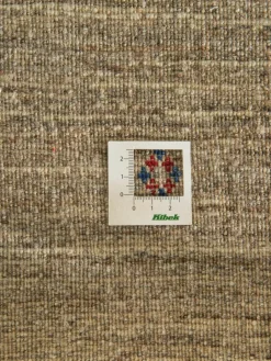 Persischer Loribaff|Kibek Online