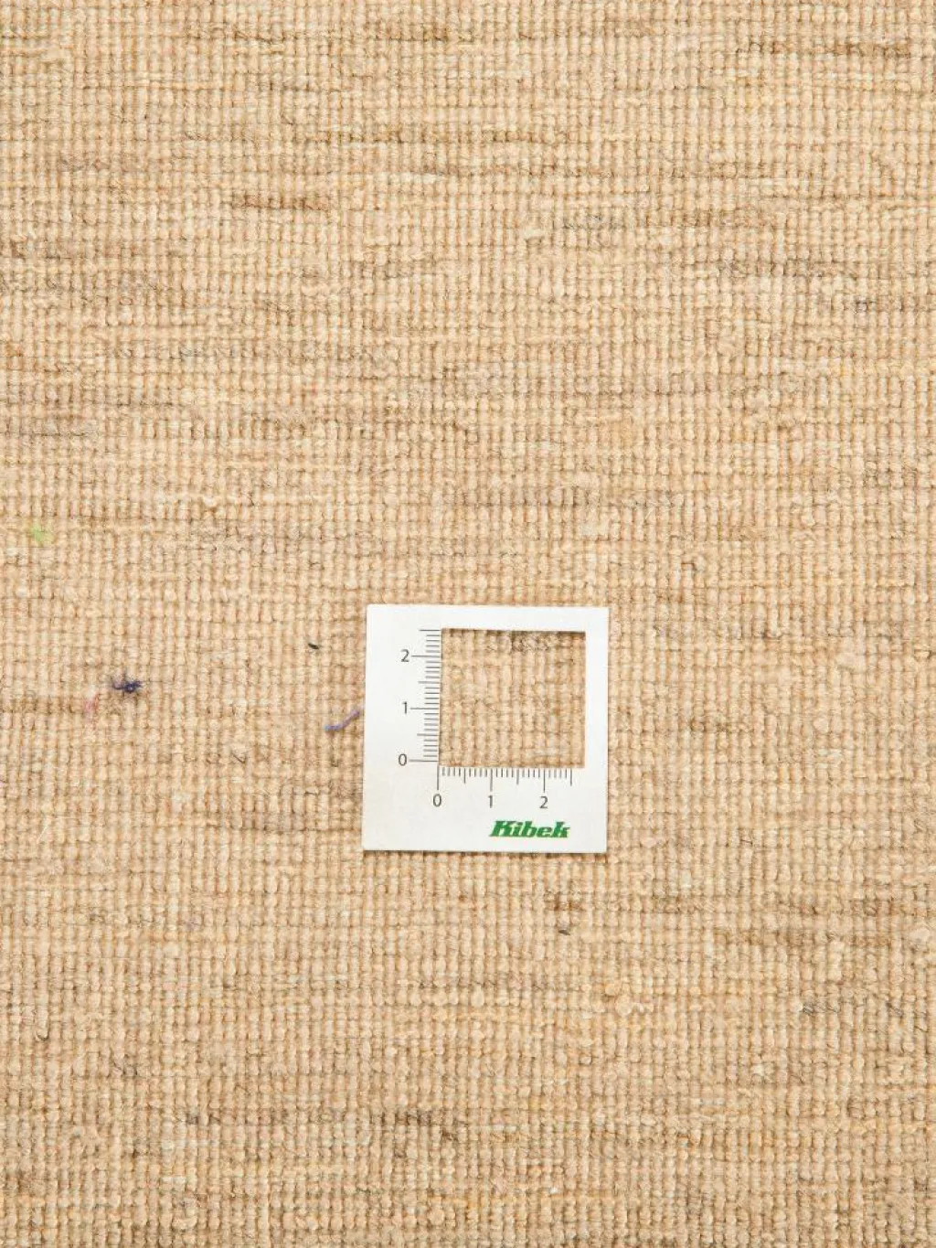 Persischer Loribaff|Kibek Best