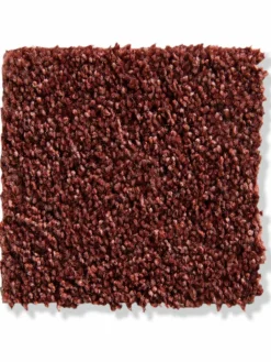 Praia|Kibek Clearance