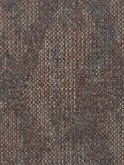 Quantum|Kibek Discount